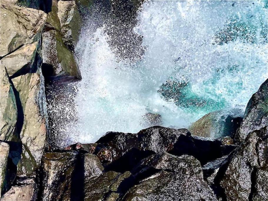 La Casita De La Pardela Daire La Laguna  Dış mekan fotoğraf